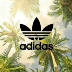 Meet your Posher, Lorenzo